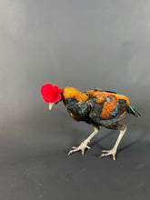 Load image into Gallery viewer, Red Madeleine Fedora - Jonny Beardsall Hats